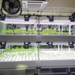 농업 마케팅, 인공지능과 함께 설계하는 새로운 전략